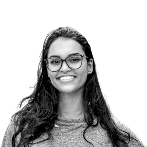 Mini San Pedro Cactus